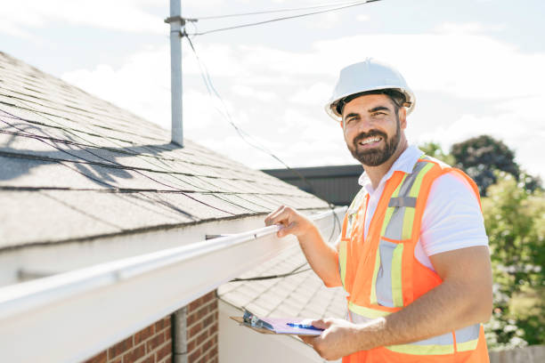 Best Roof Insulation Installation  in Fox River Grove, IL